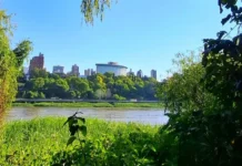 Amaneció fresco en Entre Ríos: la temperatura mínima bajó a 12°C