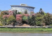 Anuncian hasta 30°C este jueves en Entre Ríos y prevén suba de temperaturas los próximos días