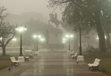 Alerta por niebla en Entre Ríos: qué pasará con las temperaturas