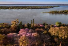 Calor extremo en Entre Ríos: anticipan 36°C para este jueves, ¿cuándo llega el alivio?