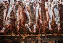 El acuerdo de Libre Comercio con EE.UU permitirá exportar 100 mil toneladas de carne sin aranceles