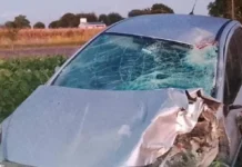Fatalidad en el departamento Paraná: murió joven de 18 años tras chocar con un auto
