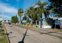 Los entrerrianos ya pueden tramitar online la constancia de la VTV para viajar