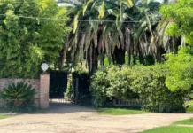 Crimen en el motel: fiscalía dispuso imputar a la mujer que sobrevivió al incidente en la habitación