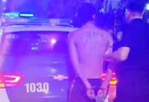 Violento robo en Paraná: joven gatilló tres veces, le disparó en el pecho a una vecina y fue detenido