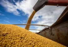Proyectan que el agro liquidará más de u$s36.000 millones en 2026