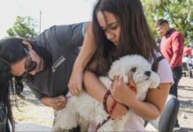 El operativo de castraciones del Municipio llega a más barrios de la ciudad