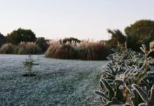 Anuncian un refuerzo del frente frío esta semana en Entre Ríos, con mínimas de 1°C