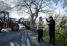 Frente a El Niño, la Municipalidad sostiene las tareas de prevención y limpieza