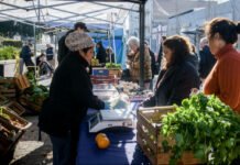 La Feria en tu Barrio incorpora un nuevo punto de distribución