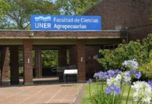 No docentes universitarios de Entre Ríos se suman al paro de 48 horas de este jueves y viernes
